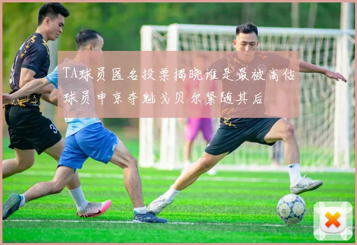 TA球员匿名投票揭晓谁是最被高估球员申京夺魁戈贝尔紧随其后