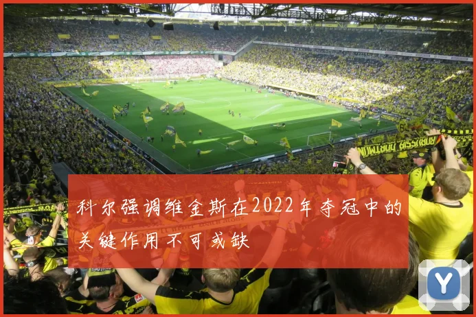 科尔强调维金斯在2022年夺冠中的关键作用不可或缺